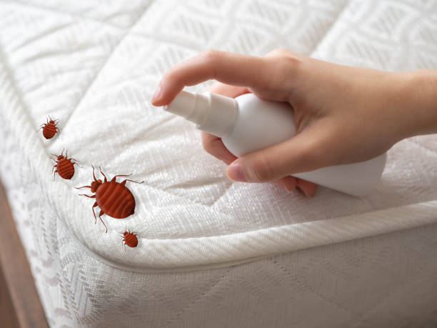 Best Pest Exclusion Services  in Belford, NJ